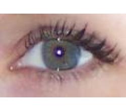 Bis meine Welt die Augen schliet (Instr.)